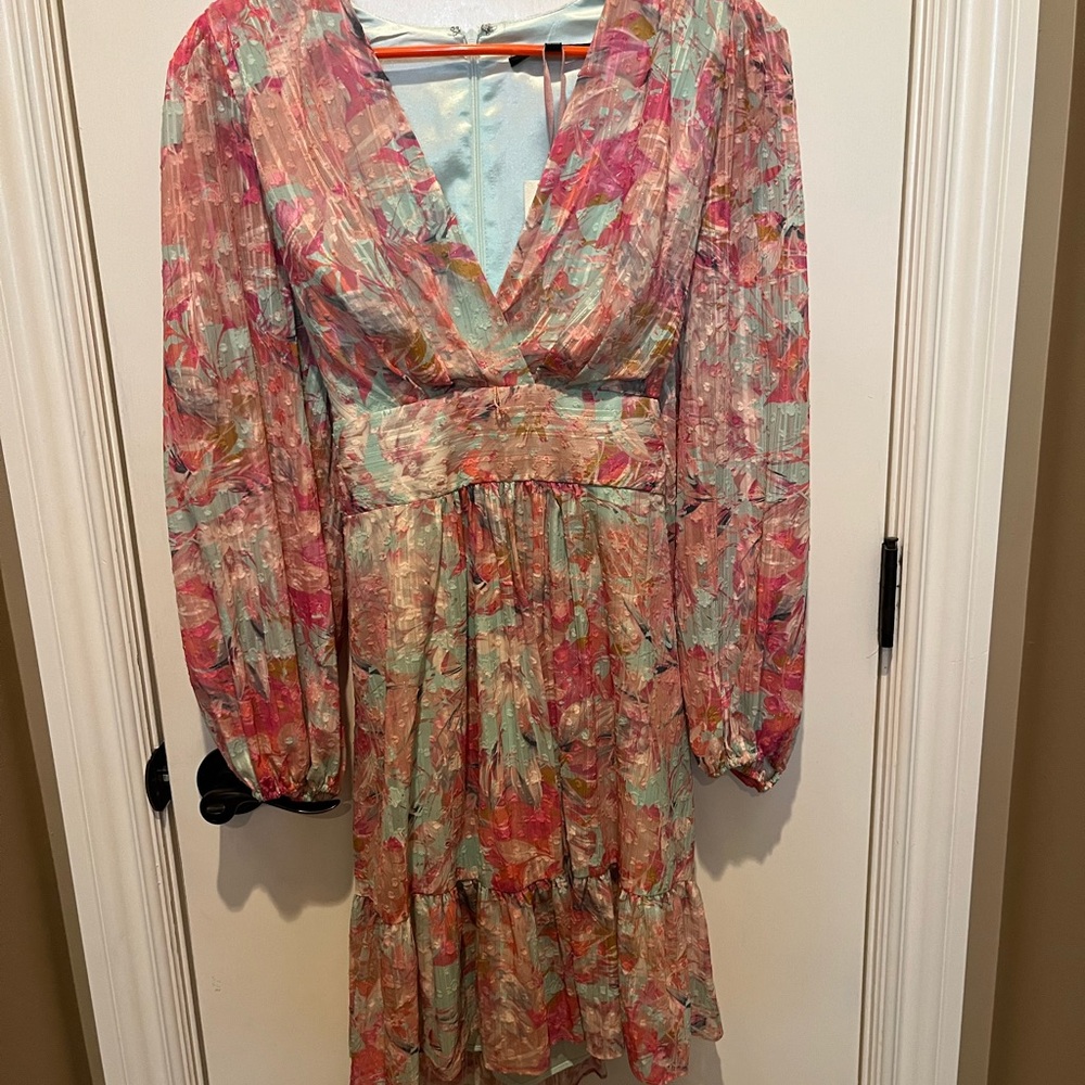 Alex Marie Pink and Green Floral Long Sleeve Dress - Picture 3 of 8